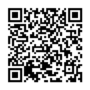 一道瞬间飞掠而过的黑影打扰了她的美梦降身女配二维码生成