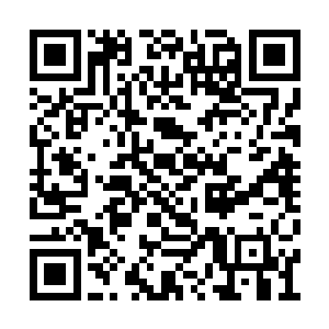 一道道光辉绿色的光辉也瞬间从他身上爆发而出二维码生成