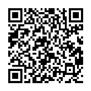 一道道恐怖的能量波动也是朝着四面八方疯狂的肆虐二维码生成