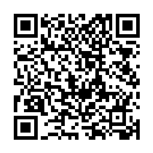 一道道恐怖的能量风暴瞬间在整个大殿之中疯狂的涌动二维码生成