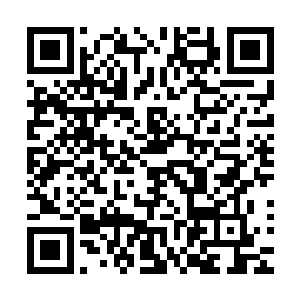 一道道恐怖的雷芒也不断的在天血傀儡的身上疯狂的肆虐起来二维码生成