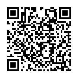 一道道玄妙的气息也直接从龙傲天的身上散发出来二维码生成