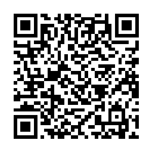 一道道玄幻的弧线瞬间在空中形成了一个收丹的法决二维码生成