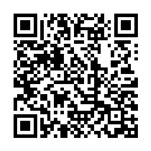 一道道璀璨的电芒也从杨凌手中的青索剑上激荡而出二维码生成