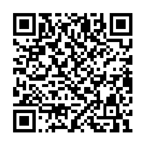 一道道的波纹宛若是蕴涵着无上的天地规则一样二维码生成