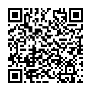 一道道的灵力波动从道九的身边开始朝着两边蔓延二维码生成