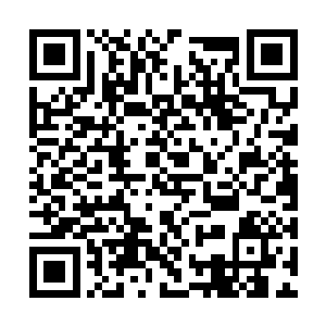 一道道躲躲闪闪的幽冥鬼物惊惧的关注着界门附近二维码生成