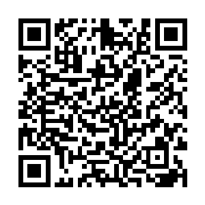 一道道透明虚幻的血色光芒便是猛然向六位长老窜去二维码生成