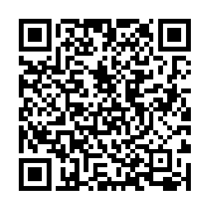 一道锐利的剑芒直接狠狠的朝着噬灵鼠皇的身上斩去二维码生成