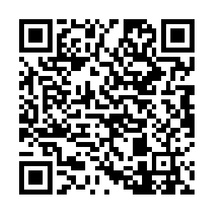 一道青影携带着令人窒息的肃杀瞬间出现在苗毅的身边二维码生成