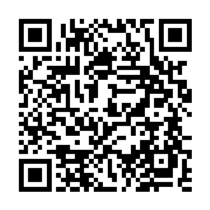 一部分在圣主地允许下进入圣地藏书阁浏览符道秘籍二维码生成