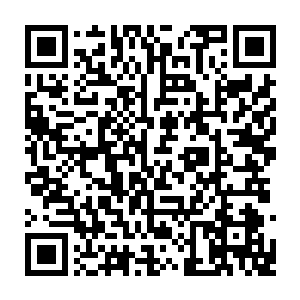 一部分是由雪域剑法凝练而成的类领域结合寒雪之心的力量最终构成的真正领域二维码生成