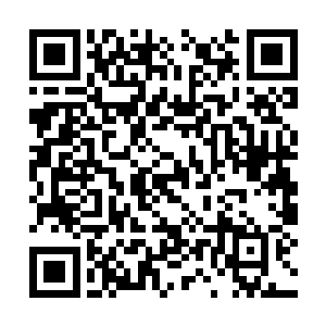 一部独立影片由一家知名或不知名的发行公司发行二维码生成