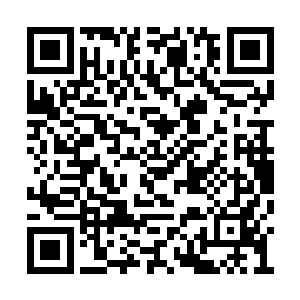 一阵类似于蛐蛐叫的声音就从灌木丛里传了出来二维码生成