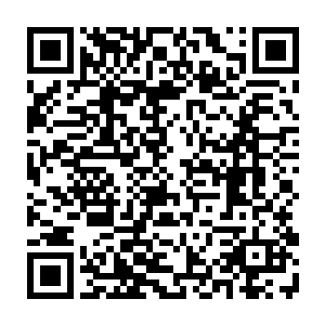 一阵阵充满了浓郁血腥味的红色血雾也开始慢慢从骨皇右手触地之处弥漫而出二维码生成