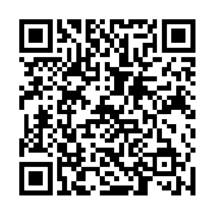一阵阵剧烈且狂躁的咆哮声也开始从丛林各处不断响起二维码生成