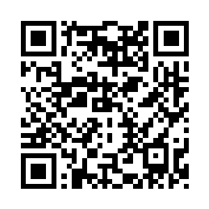 一阵风之后落下的树叶便铺了厚厚的一层二维码生成