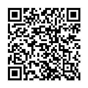 一面冲木香做出一个你看这不是梦魇说胡话是什么眼神二维码生成