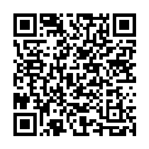 一面如羊脂般白嫩的手掌好似凭空出现在老妪身前二维码生成