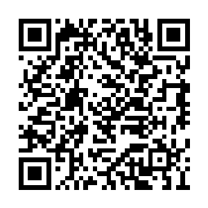 一面已经似大雕一般的扑向了旁边那个瘦小侍卫二维码生成