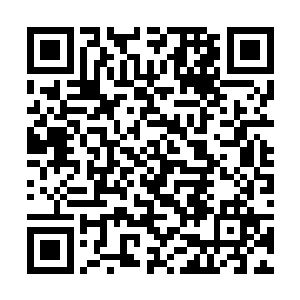 一面极为巨大的九龙腾空影壁将空旷的院子前后隔开二维码生成