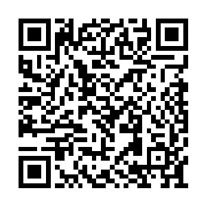 一面模糊的火焰邪神相势猛然显现在了他的身后二维码生成