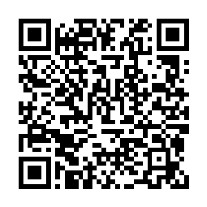 一面面如同盾牌一样的骨墙兀自出现在剑芒面前二维码生成