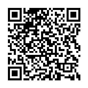 一颗发出淡淡黄色光晕的果实出现在雷元嘉手中二维码生成