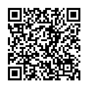 一颗比先前小了一圈的丹药在林烽的手中滴溜溜的转着二维码生成