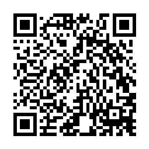 一颗生机盎然的种子在吴虎臣的心中缓缓的栽种着二维码生成