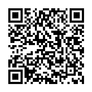 一颗颗脱膛而去的报仇子弹就像阎王的勾魂使者一样二维码生成