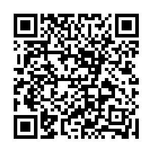 一颗鸡蛋大小墨绿的苦胆准确无误的进了风清扬的嘴里二维码生成