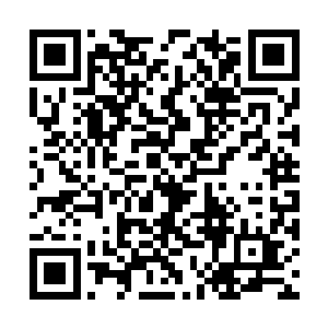 丁羽也就只好冲着自己的妹妹耸立一下自己的肩头二维码生成