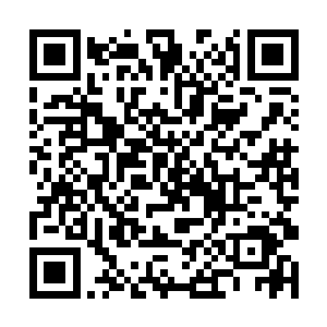 丁羽也是含蓄的跟自己的妹妹解释了一下其中的原因二维码生成