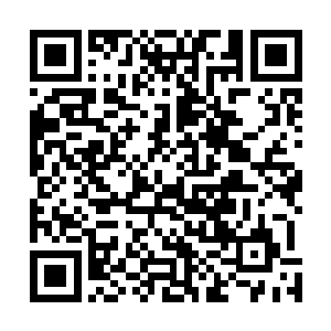 丁羽也是检查了一下两个小家伙最近一段时间锻炼的成果二维码生成