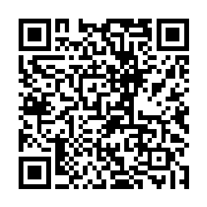 丁羽则是翻过来自己的手腕看了一眼自己手腕处的手表二维码生成