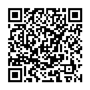 丁羽对于整个王家和苏家的付出已经是相当的多了二维码生成