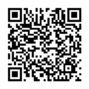 丁羽对于这件事情可以说是一点都没有要去关注的意思二维码生成