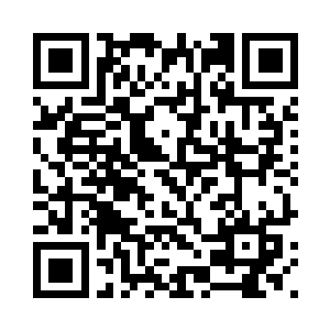 丁羽看了一眼自己家的两个熊孩子二维码生成