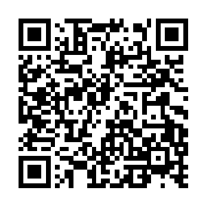 丁羽跟古庄两个人就工作上面的事情做了一番交换二维码生成