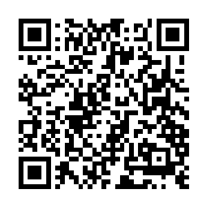 丁羽这个孩子在里面究竟是受到了什么样子的训练二维码生成