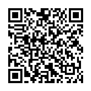 丁蕴的目光则是来回的在童童和王晓刚两个人身上面打转二维码生成