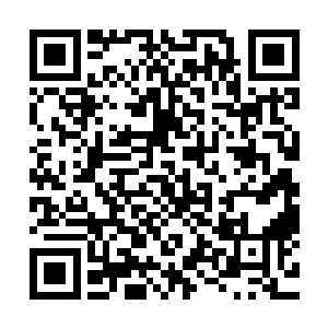 丁铃铛已经被燕离人的干扰和厉嘉陵那一脚激发出了无边凶性二维码生成