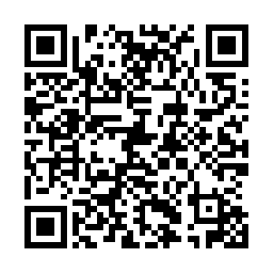 丁铃铛的满头怒焰在虚拟空间中化作了张牙舞爪的火焰巨龙二维码生成