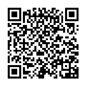 丁长生一大早带着陈敬山等常委去了拆迁完毕的高科技养殖中心二维码生成