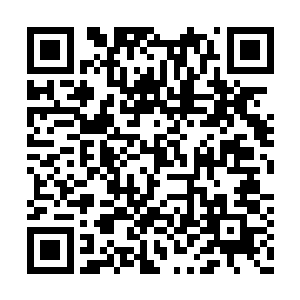 丁长生一把扯住了新娘和自己身边等着上车的少二维码生成