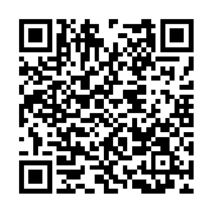 丁长生从蓝莓基地协调了三十万元之后给了夏荷慧二维码生成