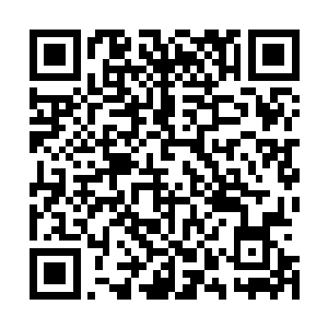 丁长生低沉的声音以及悲怆的话使得江涵菡有点眼泪汪汪了二维码生成