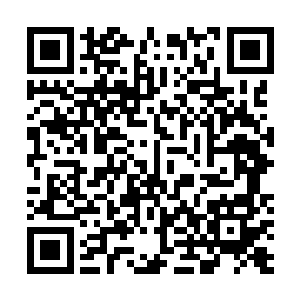 丁长生几乎将每一个外商的口袋里都塞了一张自己的名片二维码生成