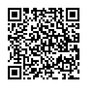 丁长生有力的大手不由自主的在杨凤栖娇嫩的脸上缓缓抚动二维码生成
